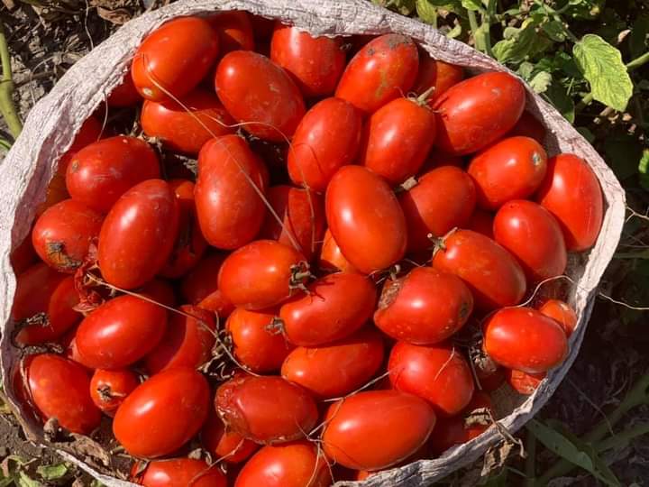 AMAS DE CASA EXTERNA PREOCUPCION ANTE ESCALA ALCISTA PRODUCTOS CANASTA BASICA.