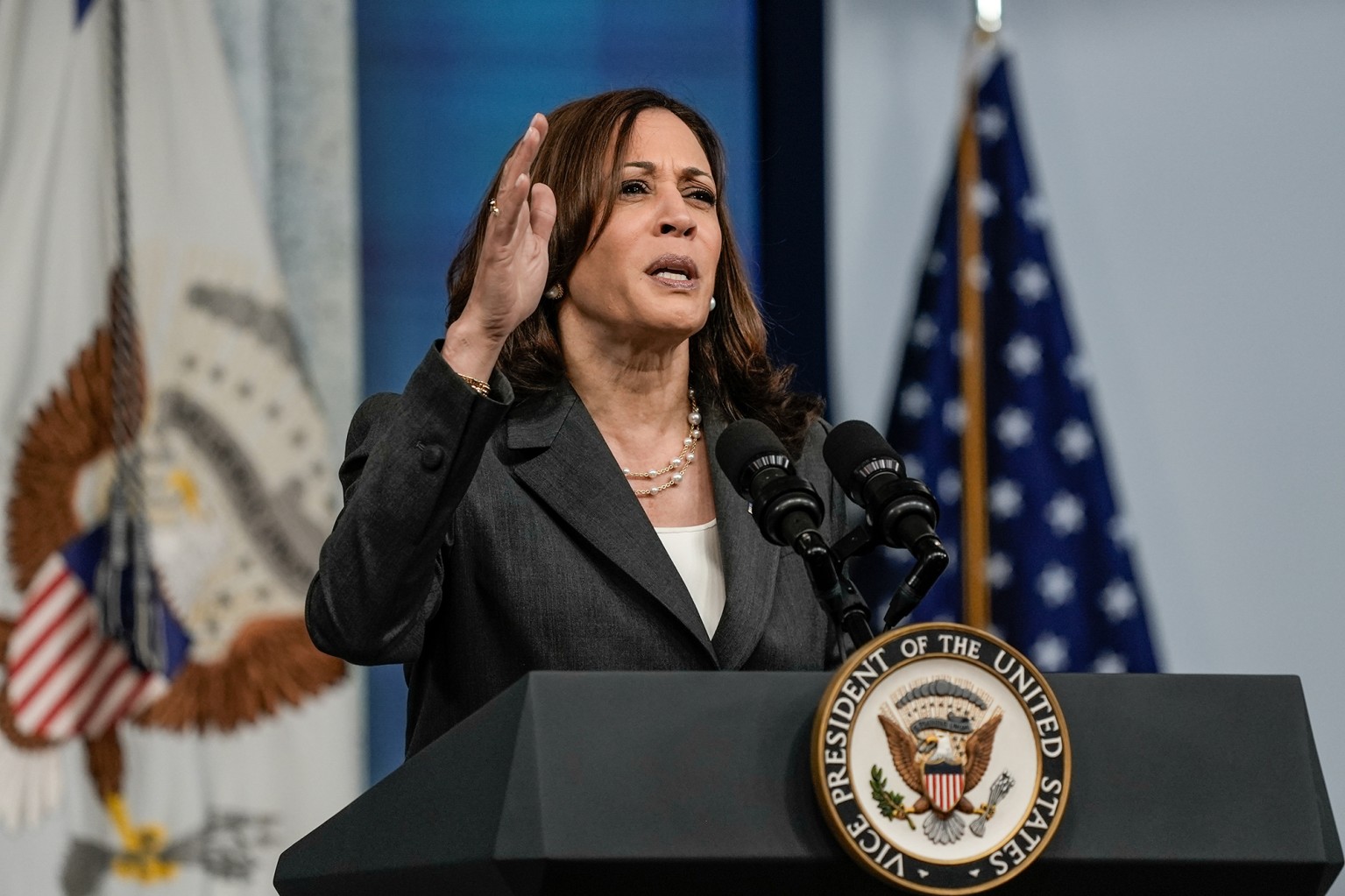 Kamala Harris Asegura la Nominación Demócrata para las Elecciones Presidenciales de 2024