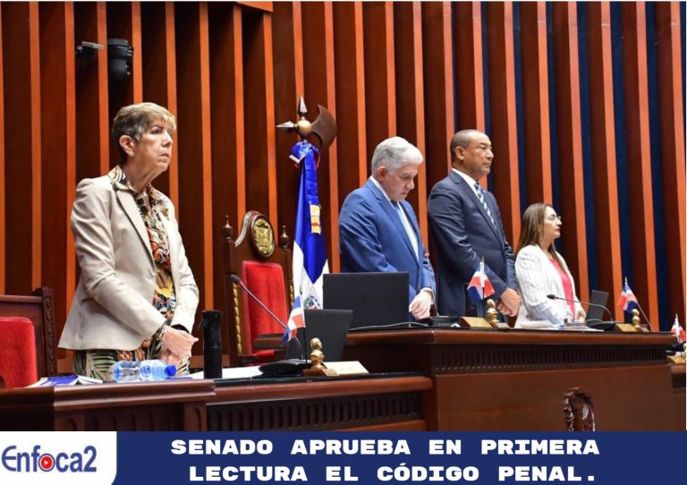 Senado aprueba en primera lectura el Código Penal.