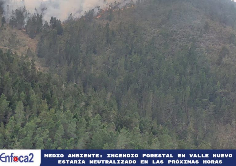 Medio Ambiente: Incendio forestal en Valle Nuevo estaría neutralizado en las próximas horas