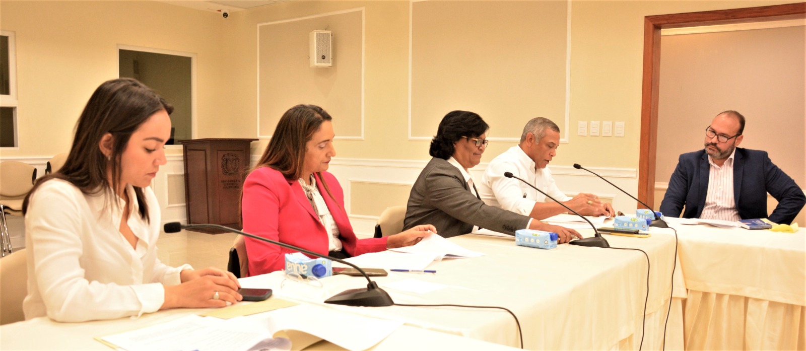 Comisión avanza estudio Proyecto de Ley sobre sistema de seguimiento a órdenes de alejamiento.