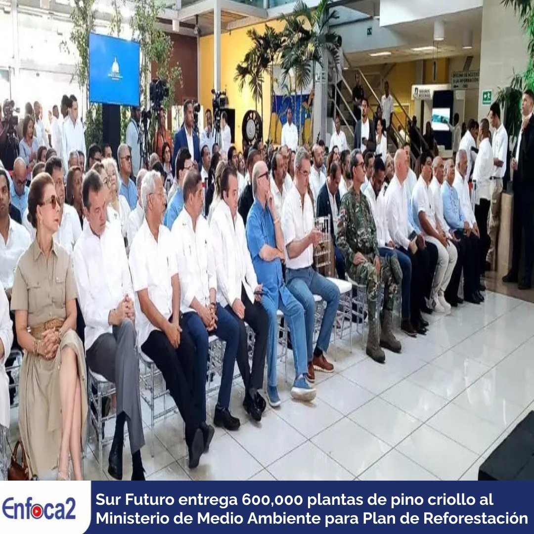 Sur Futuro entrega 600,000 plantas de pino criollo al Ministerio de Medio Ambiente.