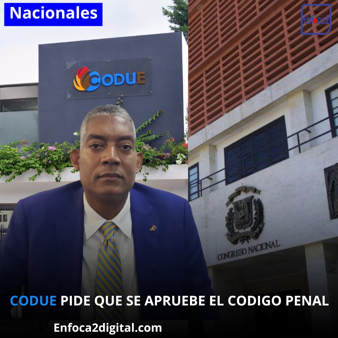 CODUE PIDE QUE SE APRUEBE EL CODIGO PENAL