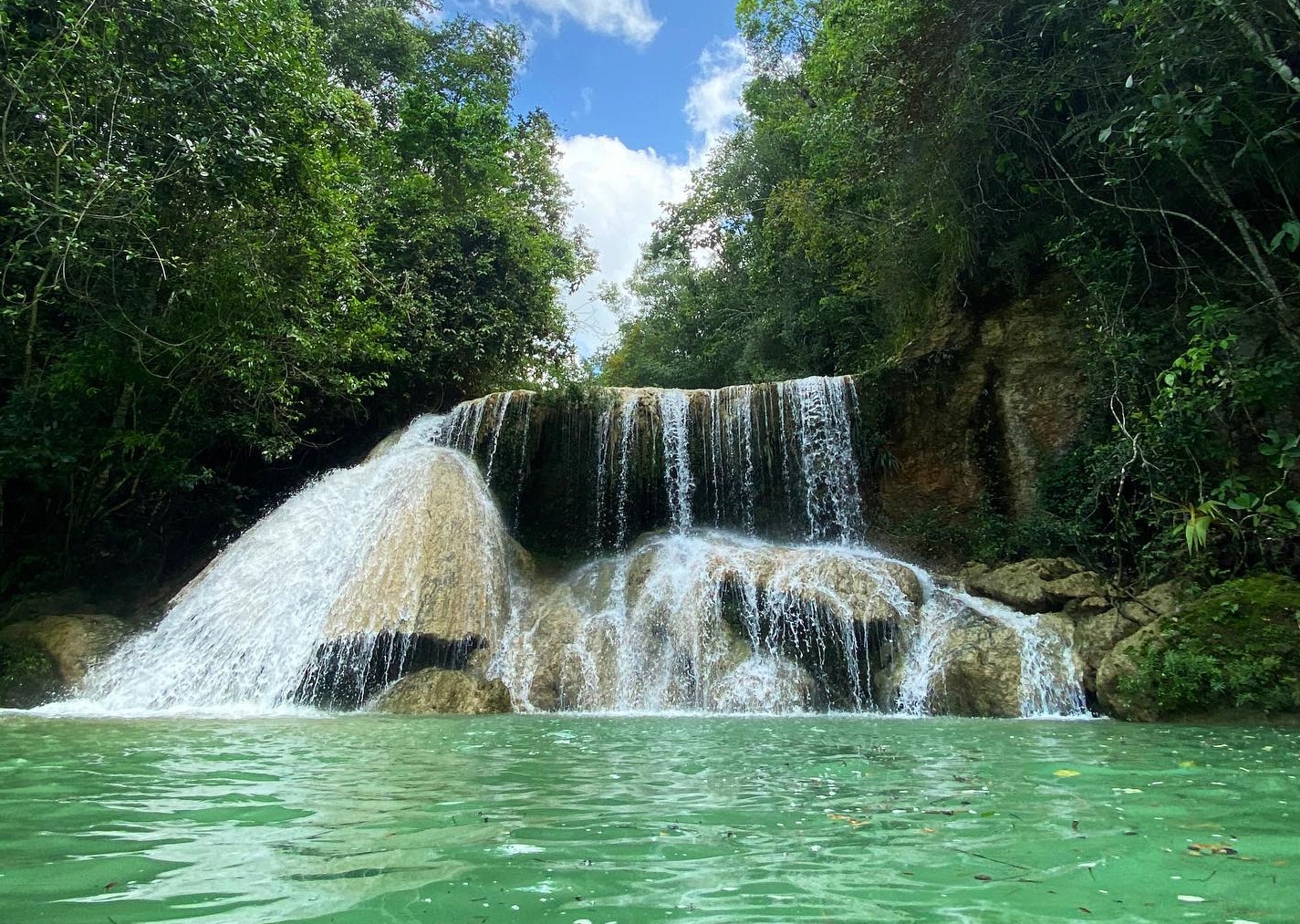 Doctor Asmín Aquino exhorta a cuidar el agua y sembrar árboles para proteger cuencas