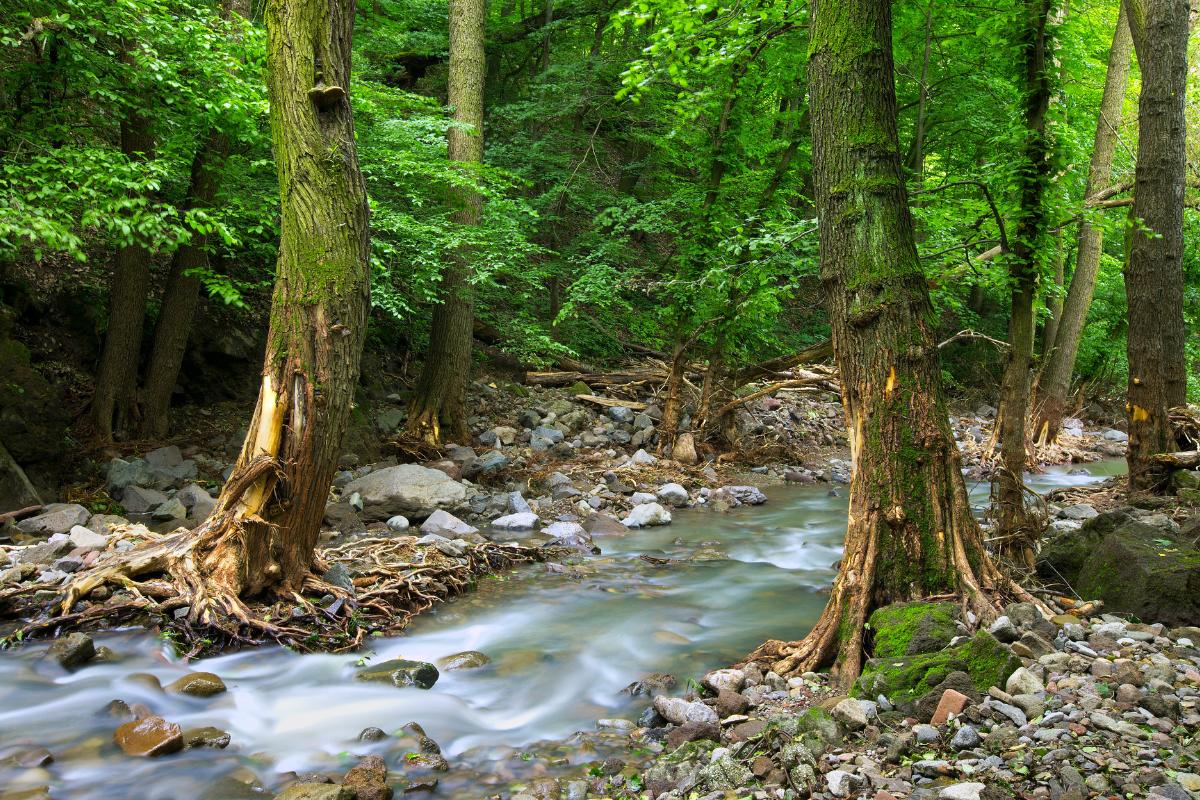 Un Muerto y Cuatro Heridos En Independencia y Bahoruco Durante Viernes Santo