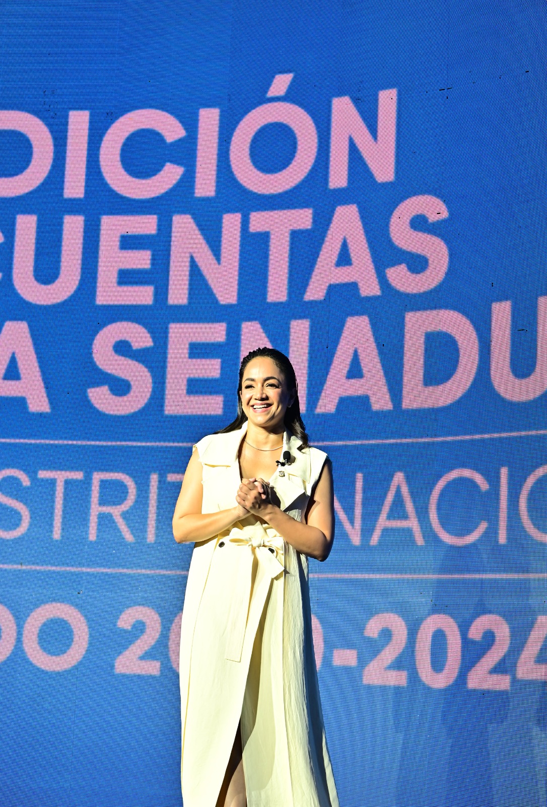 Senadora Faride Raful presenta su balance de gestión