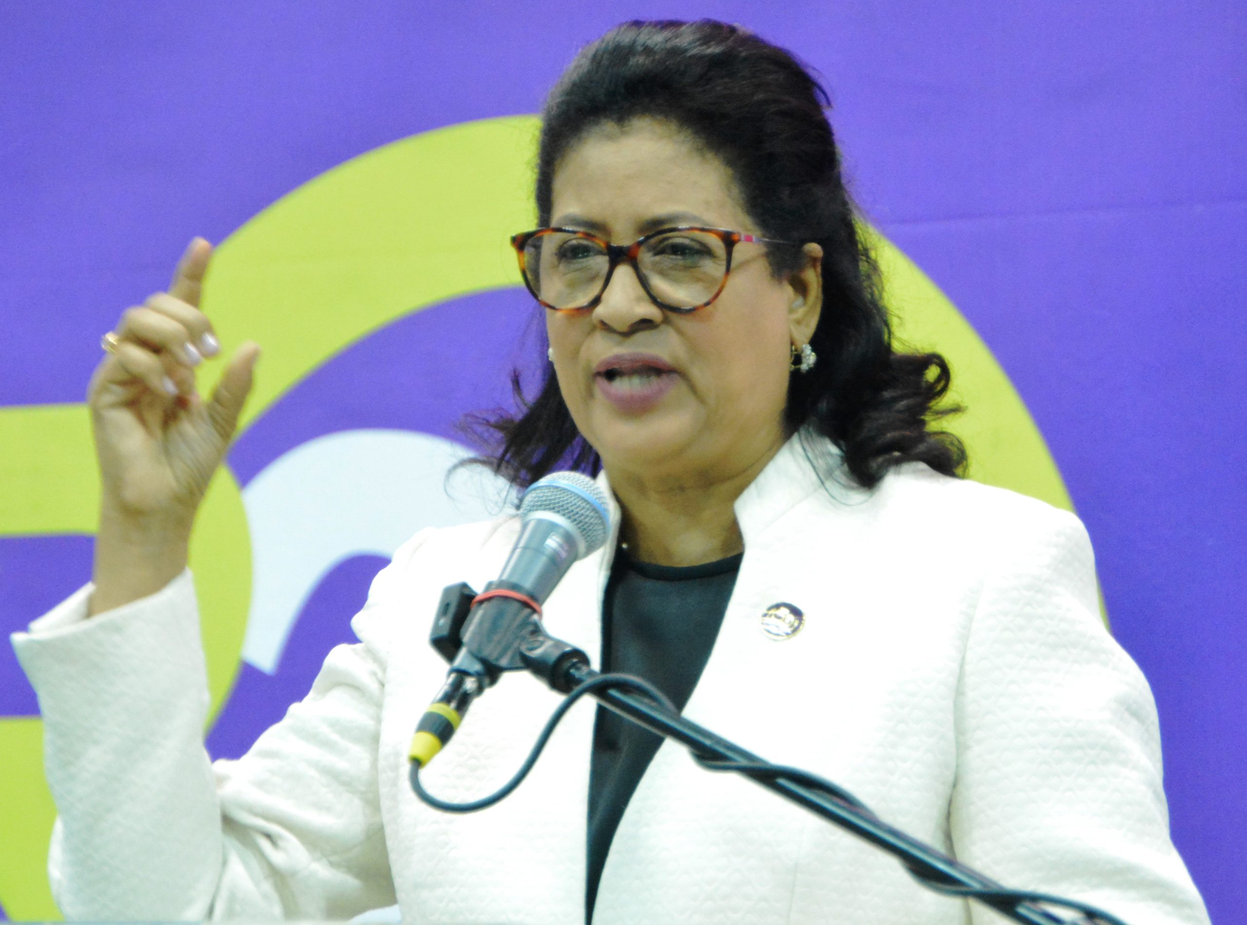 Armando García destaca el papel de Cristina Lizardo como pilar del PLD