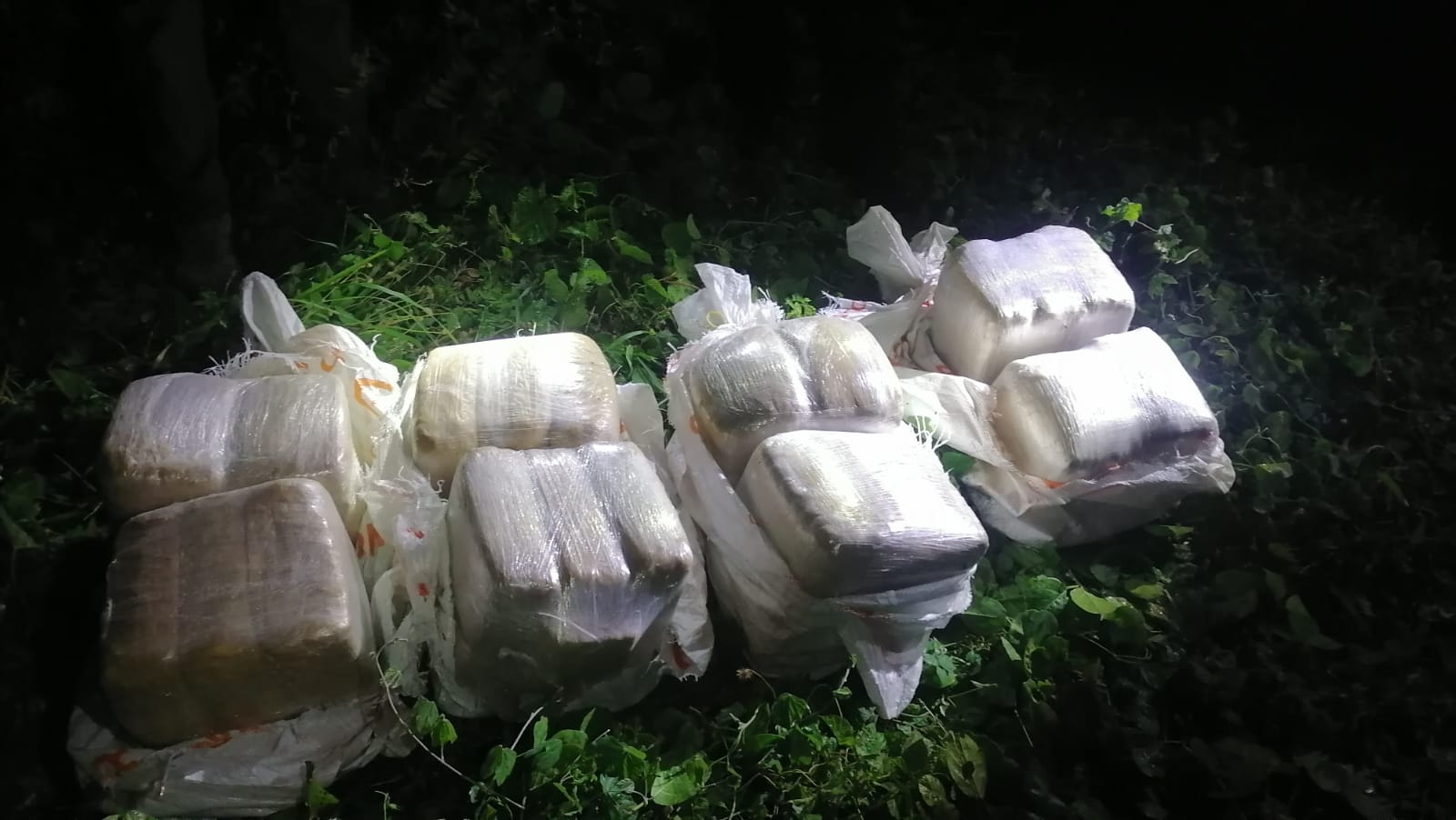 Operativo Interinstitucional Confisca Importante Carga de Marihuana en Baní