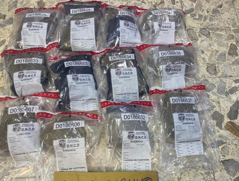 Confiscan 70 libras de marihuana camufladas en envíos de calzado y ropa en el Aeropuerto Internacional de Punta Cana