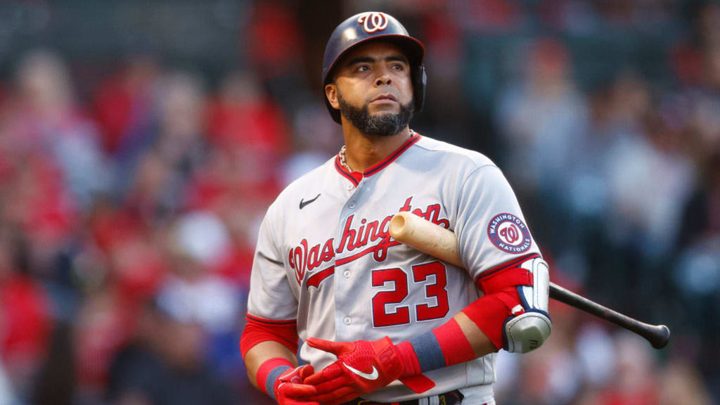 Nelson Cruz ratificado como Gerente General de la Selección Nacional de Béisbol para el Torneo Mundial de 2026