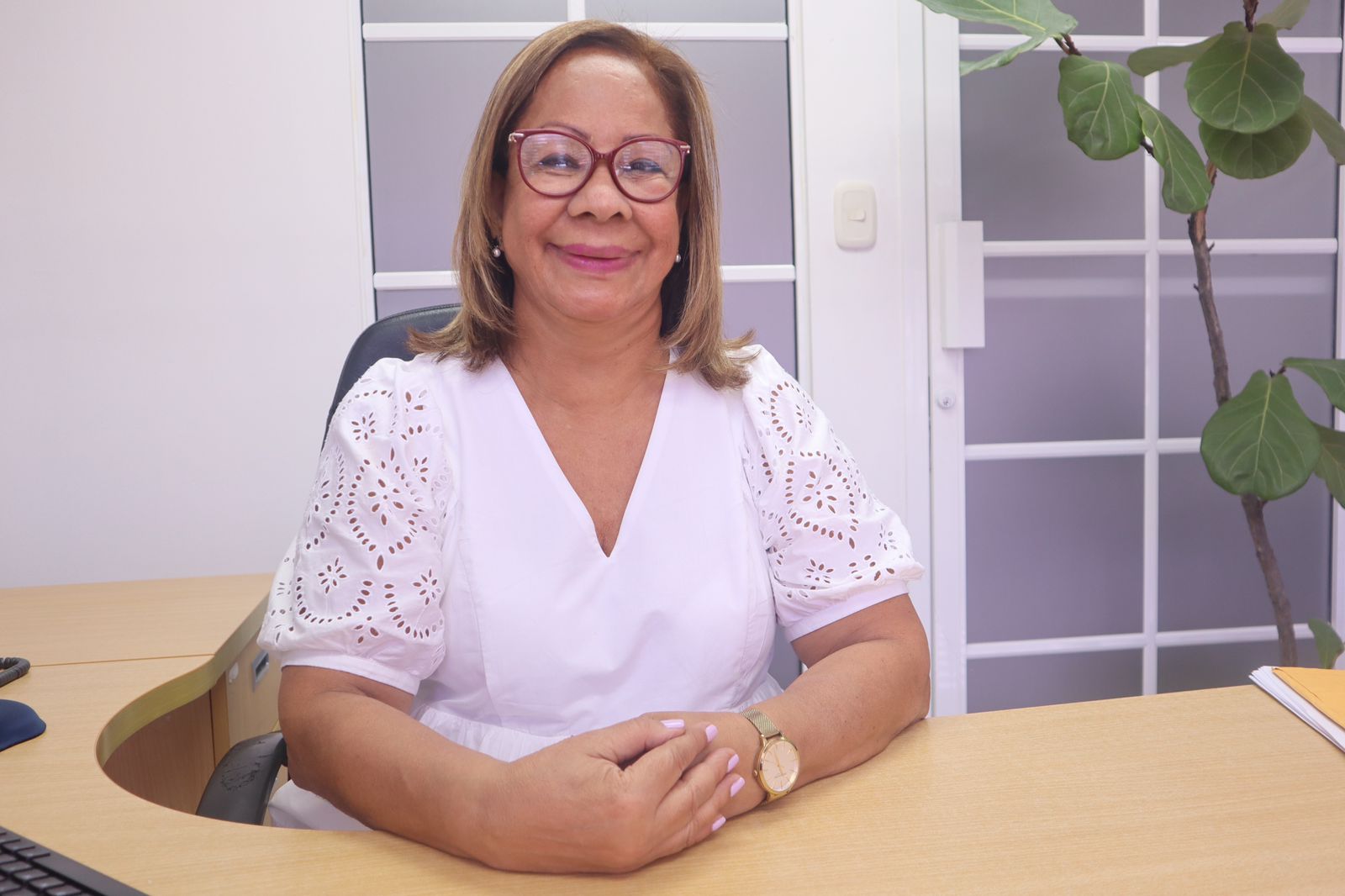 Colegio de Economistas Aboga por Revisión de Exenciones Fiscales a Grandes Empresas