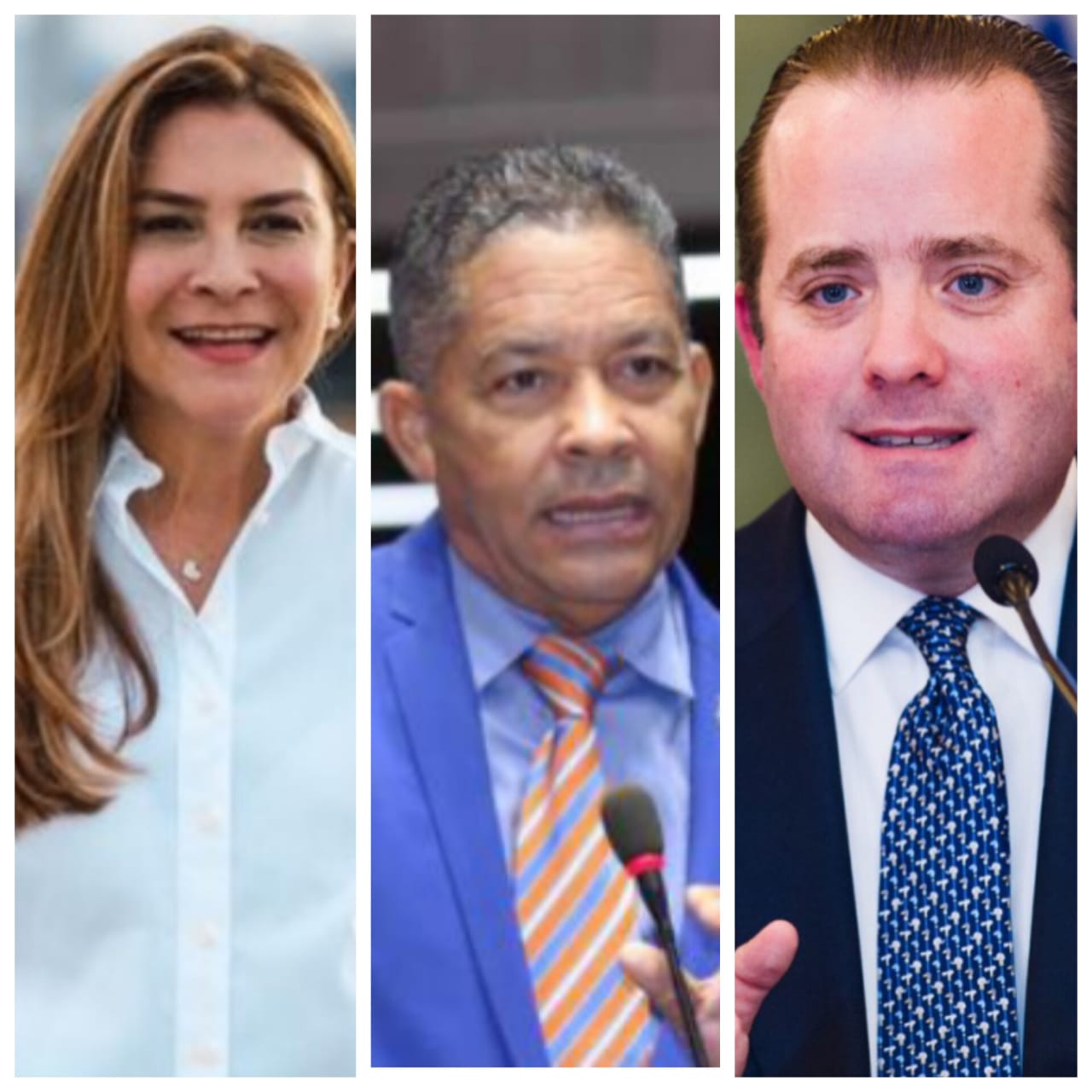 PRM Deslinda y Condena Declaraciones de Diputado Eugenio Cedeño sobre Relaciones Sexuales