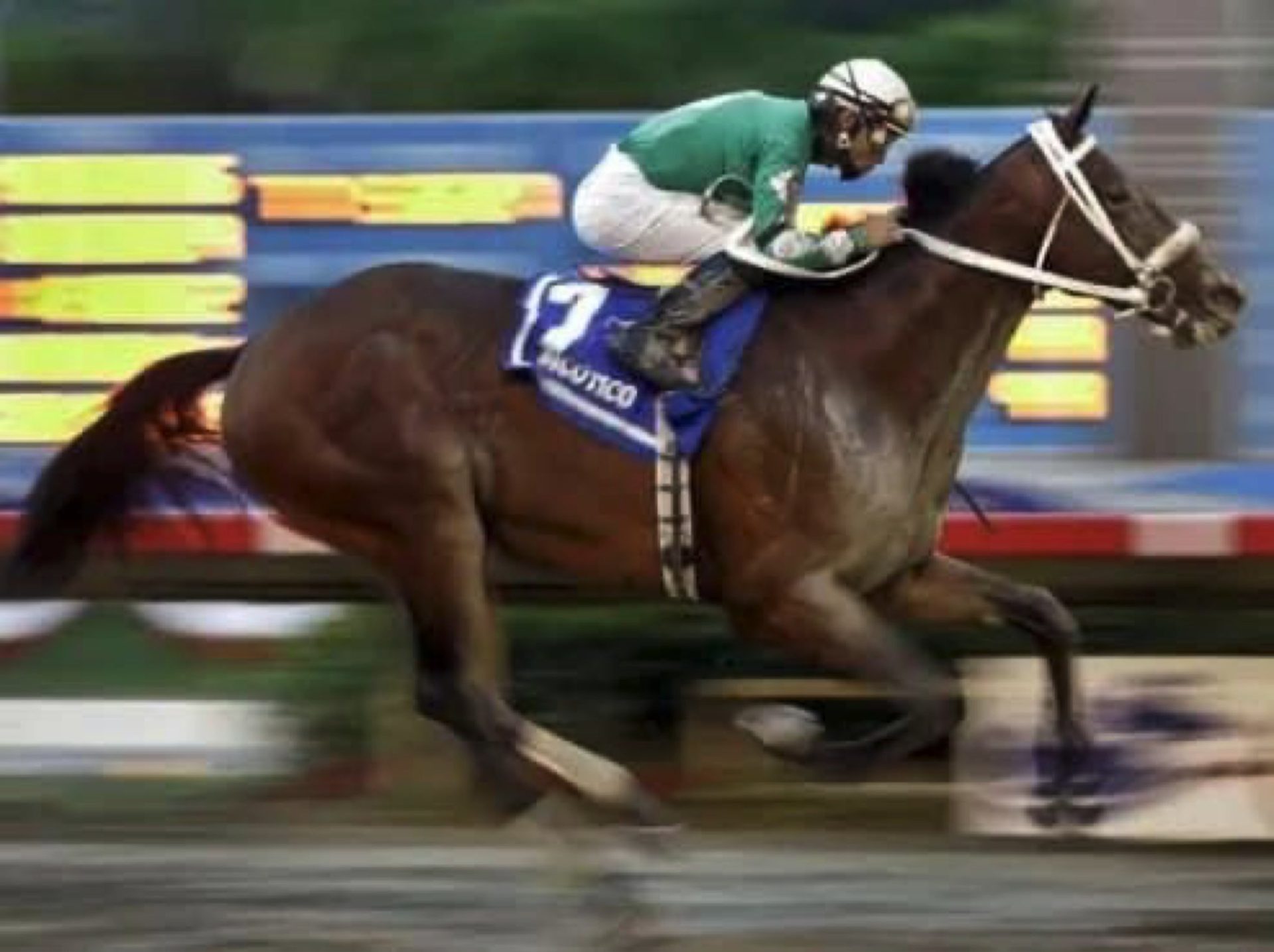 Sicótico, el legendario pura sangre, fallece tras una vida de éxitos en las pistas