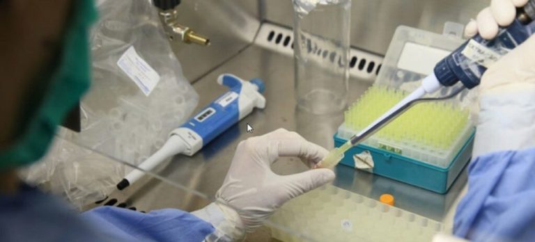 OPS alerta sobre la propagación del virus Oropouche en América Latina: Más de 7,700 casos reportados