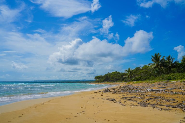 Fideicomiso Punta Bergantín se une a ADETI, impulsando el desarrollo turístico inmobiliario en la Costa Norte