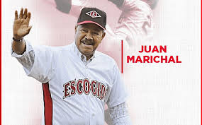 Mejores 10 Peloteros Dominicanos Combinando sus Actuaciones en LIDOM y MLB, Según la IA