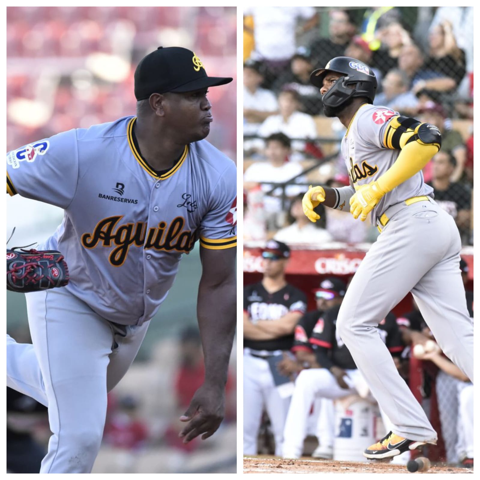 Águilas Cibaeñas dominan la premiación «Pelotero Estrella de la Semana» con Aderlin Rodríguez y Enny Romero como protagonistas