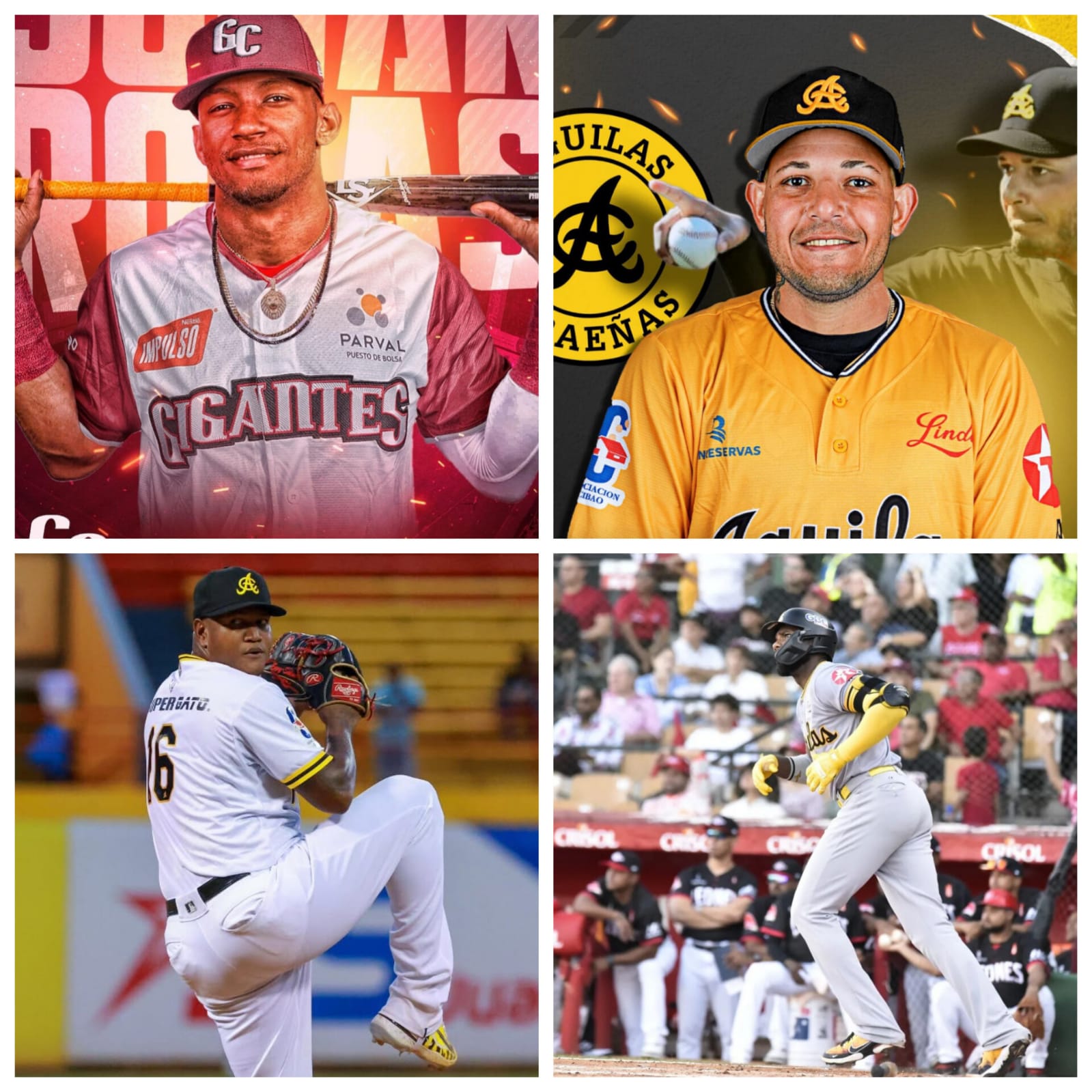 Los Mejores de LIDOM 2024-2025: Johann Rojas y Yadier Molina Encabezan la Premiación 'Pelotero Estrella de la Semana