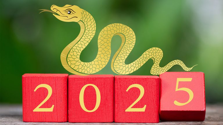 El mundo da la bienvenida al Año de la Serpiente de Madera: un período de transformación y cautela
