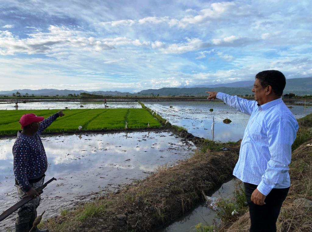 Geovanny Arias alerta sobre la crisis del arroz y exige acción gubernamental ante el DR-CAFTA