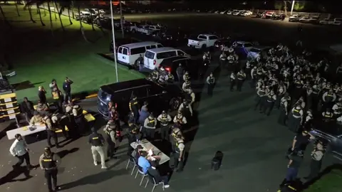 Operación Panthera 7 desmantela red internacional vinculada a 9,889 kilos de cocaína en República Dominicana