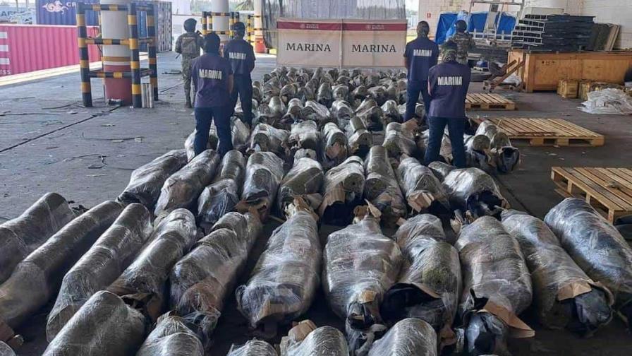 Incautan más de media tonelada de marihuana oculta en cantera con destino a República Dominicana