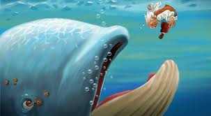 Impactante Video de Joven Engullido por Ballena se Vuelve Viral