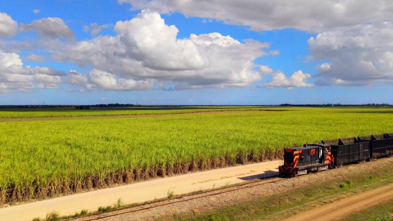 EE.UU. levanta sanción a Central Romana y permite reanudación de exportaciones de azúcar
