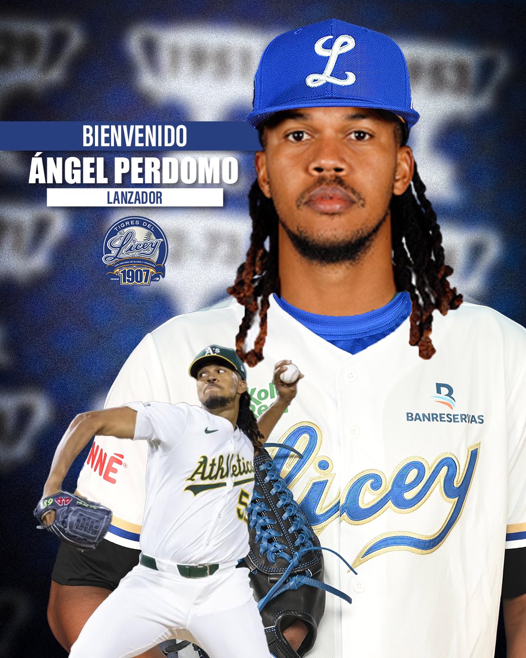 Licey y Toros pactan cambio clave: Ángel Perdomo llega a los azules