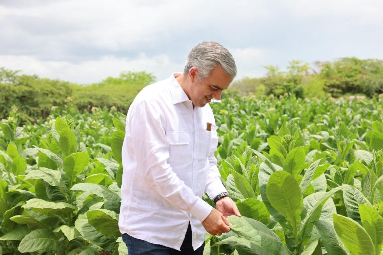 Tabaco dominicano genera más de 1,340 millones de dólares en exportaciones
