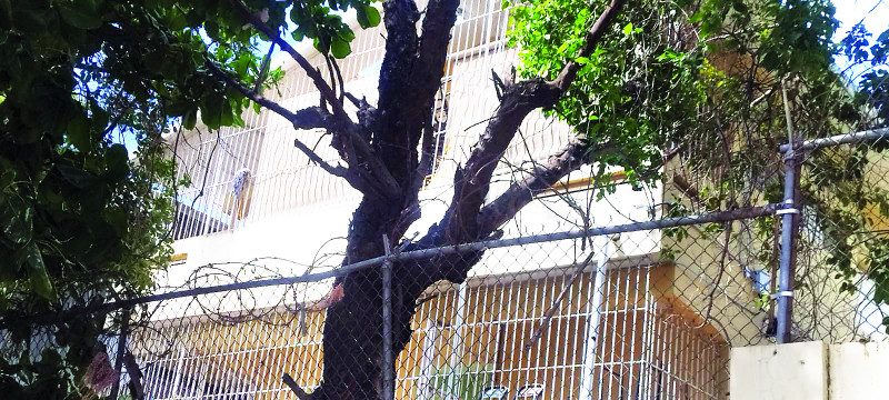 Casi mil estudiantes sin clases por cierre de escuela en Santiago Oeste