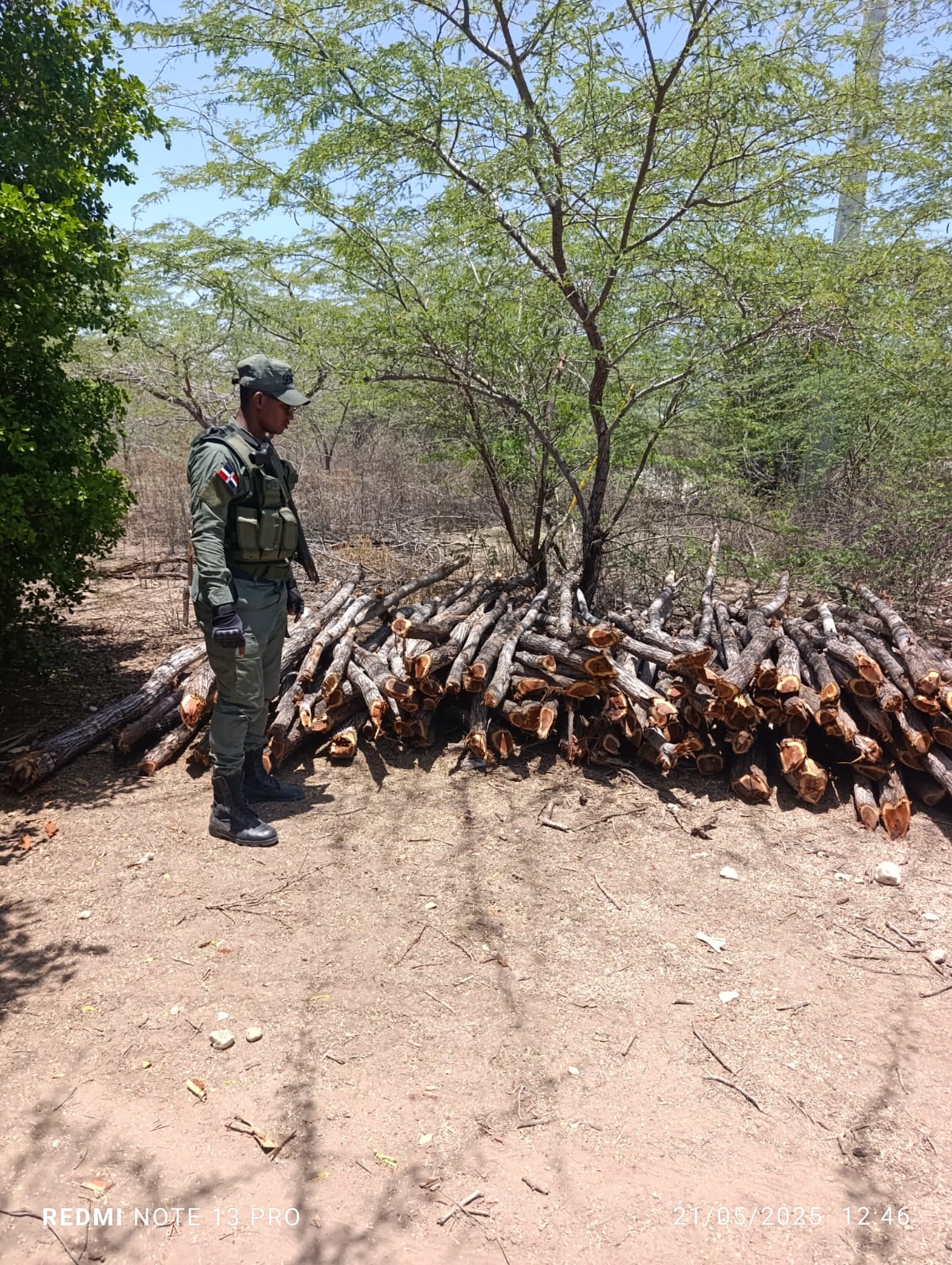 SENPA refuerza lucha contra delitos ambientales con operativos en siete provincias