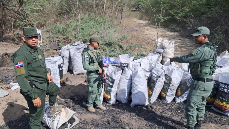 Desmantelan zona de producción ilegal de carbón en Independencia