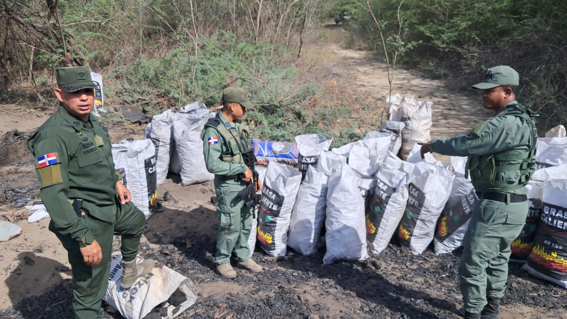 Desmantelan zona de producción ilegal de carbón en Independencia