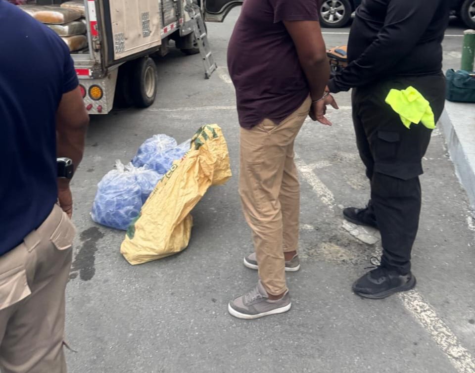 Incautan 243 libras de marihuana ocultas en camión en Baní