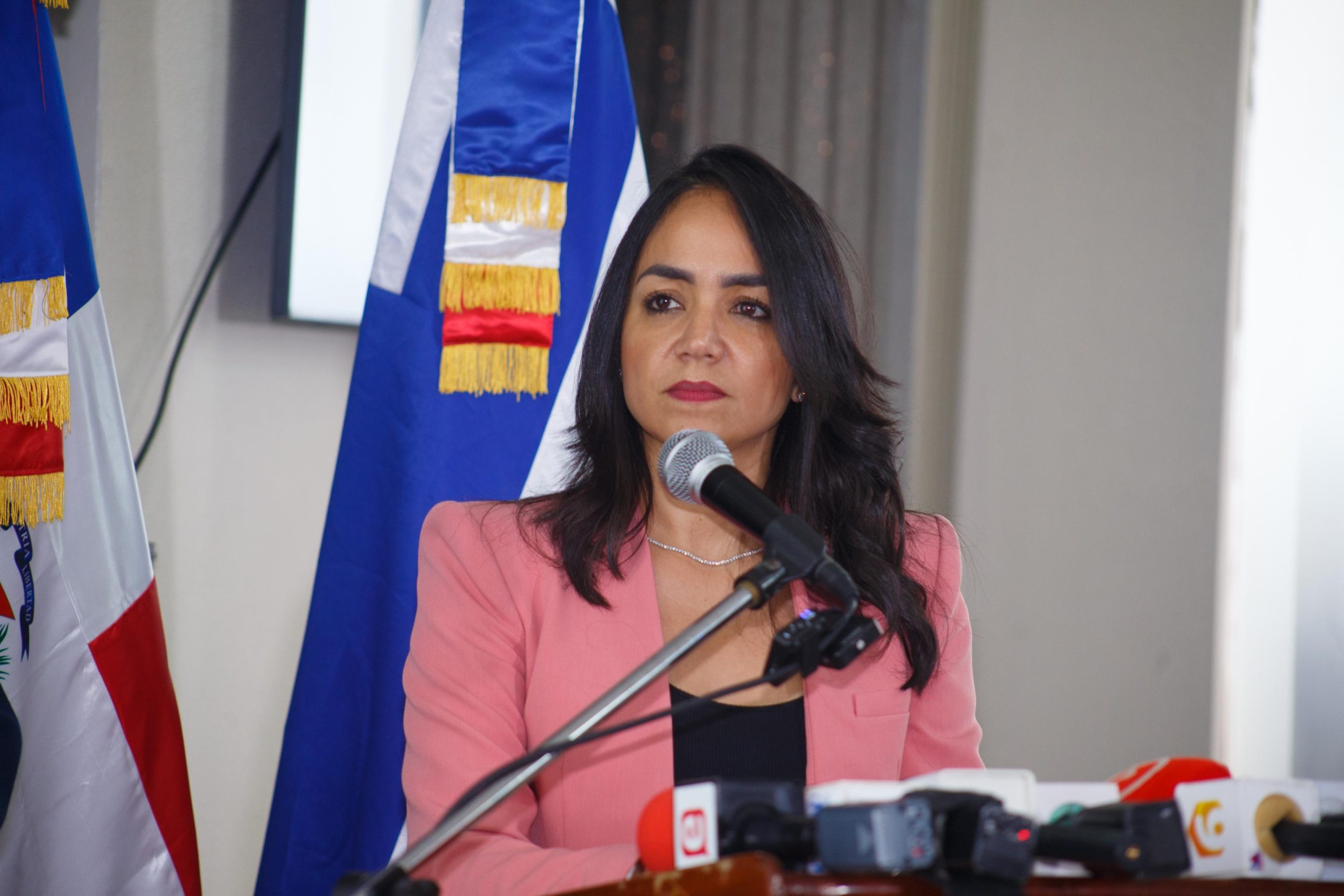 Gobierno convoca reunión interinstitucional para frenar feminicidios