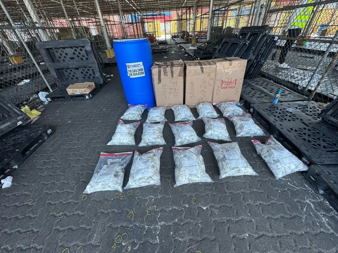 Ocupan marihuana en pañales y guantes quirúrgicos en puerto de Haina