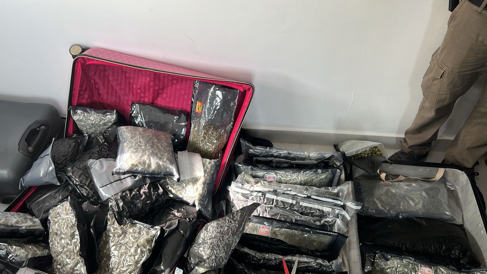 DNCD y MP desmantelan red de drogas y confiscan más de 60 paquetes en Santiago
