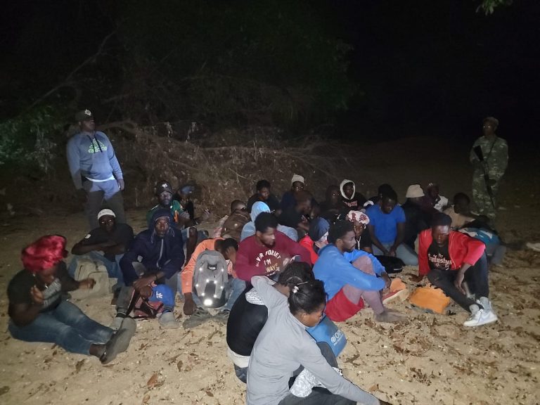 ERD detiene a 7,929 haitianos y confisca 91 vehículos en operativos