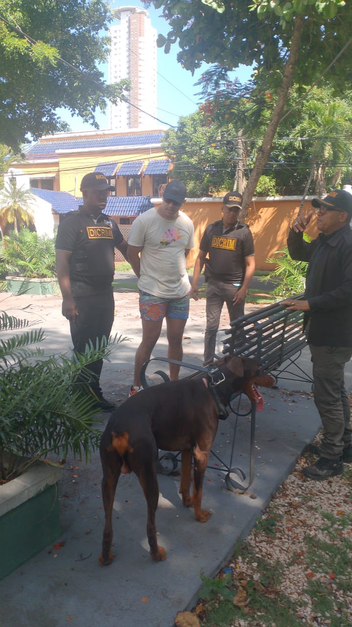 Arrestan en el DN a extranjero acusado de lanzar perro desde un piso 11