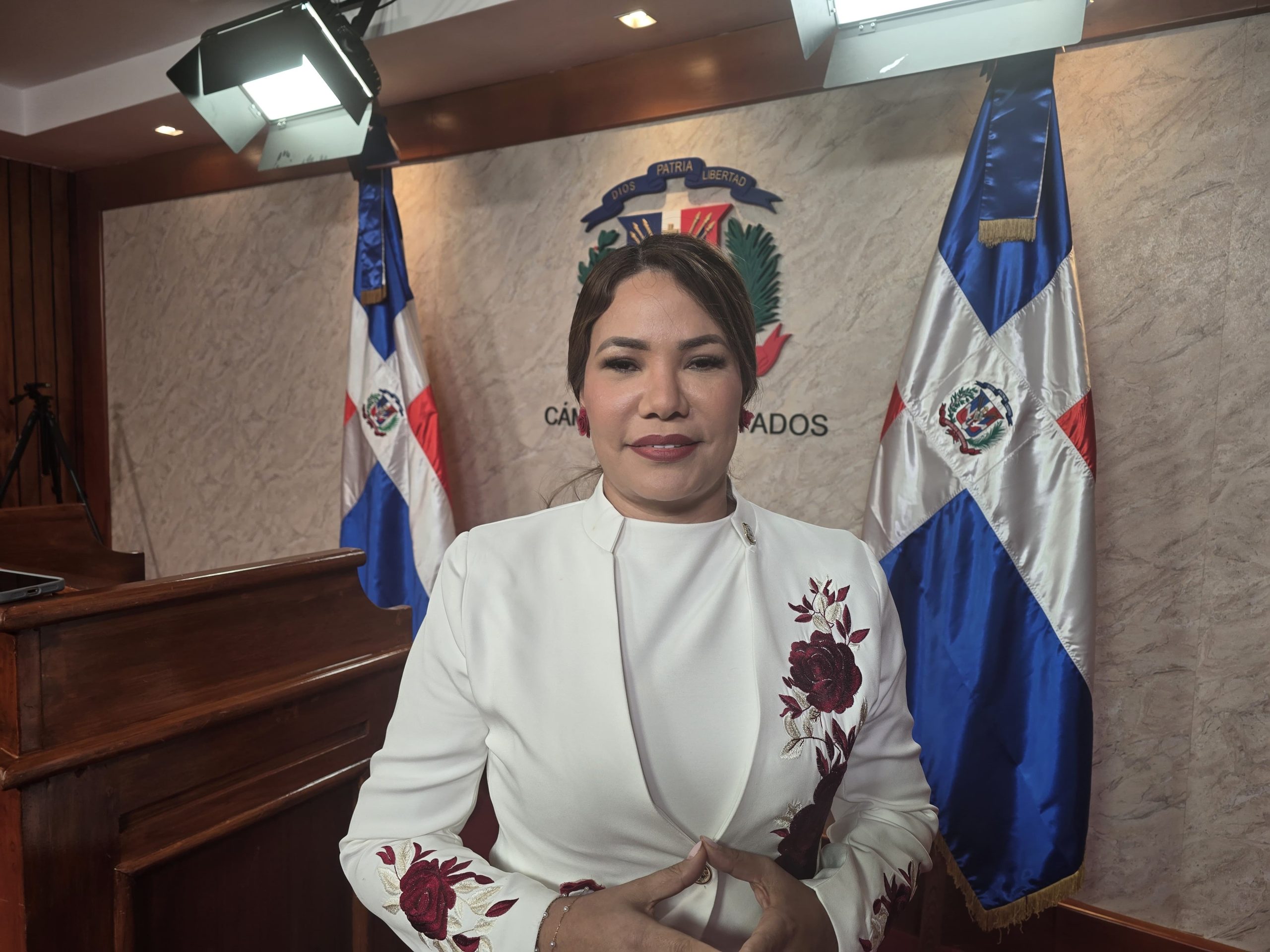 Diputada exige energía 24/7 para municipio turístico de La Altagracia