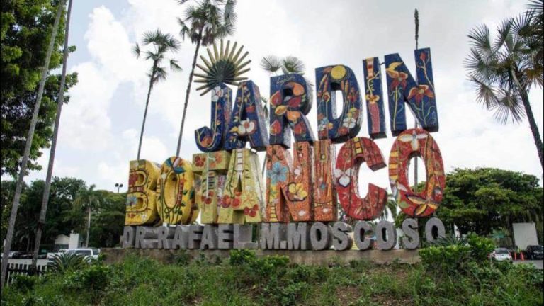 Gobierno estudia intervención en el Jardín Botánico
