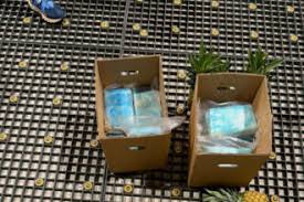 DNCD decomisa 30 paquetes de cocaína ocultos en cajas de piña en Punta Cana