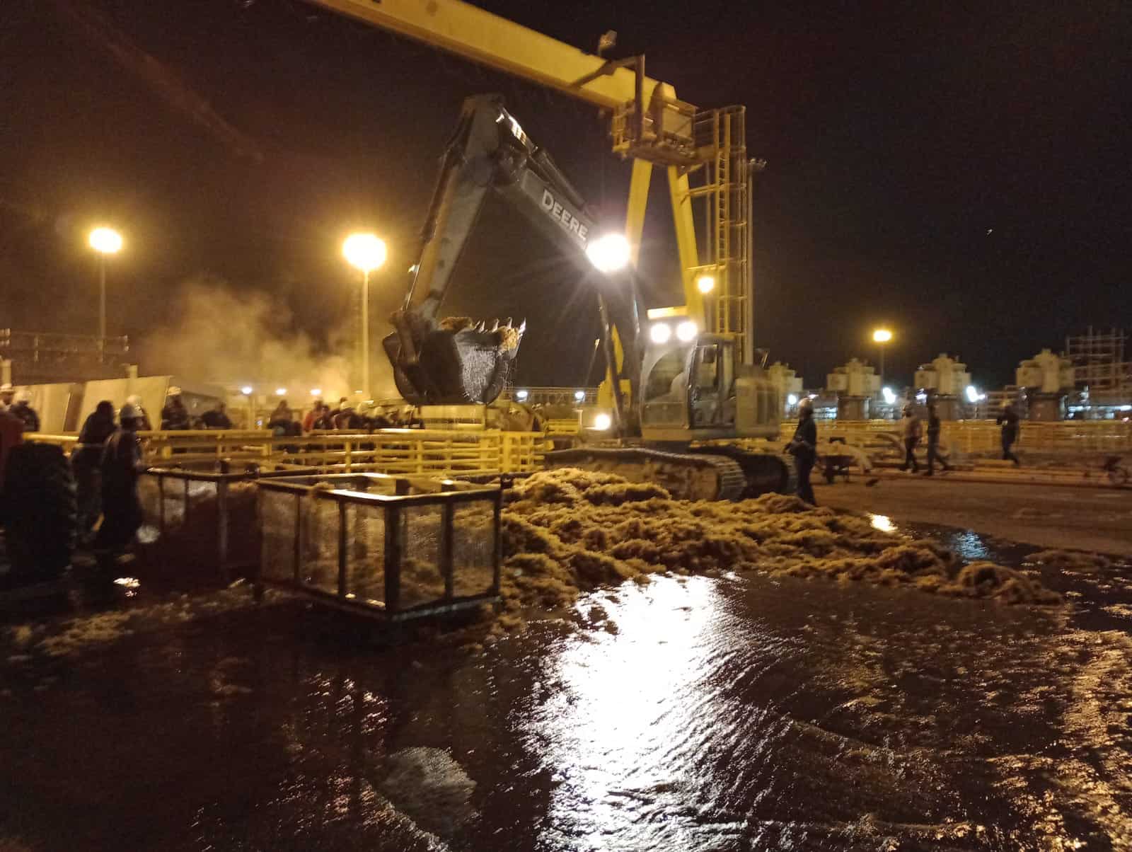 Punta Catalina detiene Unidad 1 por obstrucción de sargazo