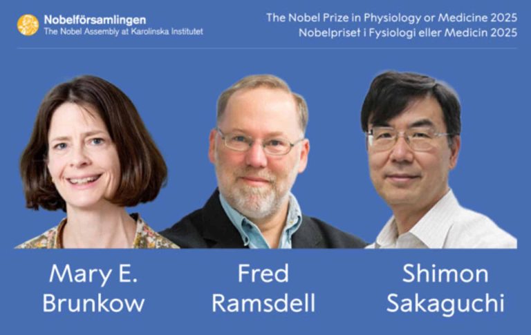 Nobel de Medicina 2025 premia avances en inmunología