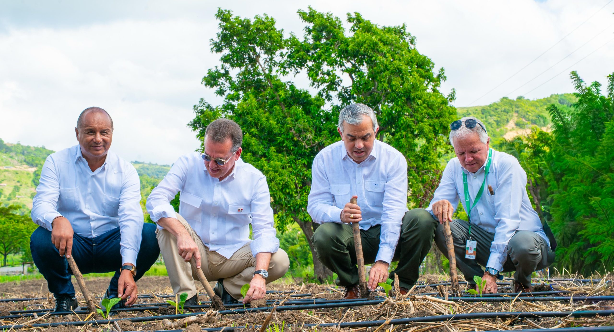República Dominicana inicia la Cosecha Tabacalera 2025-2026 con visión de crecimiento