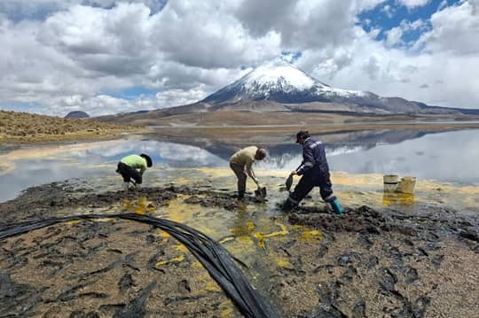 Derrame de 25,000 litros de aceite de soya afecta gravemente el ecosistema del Lago Chungará