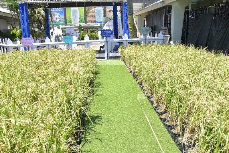 Abinader Presenta Potente Renovación Tecnológica para la Agricultura