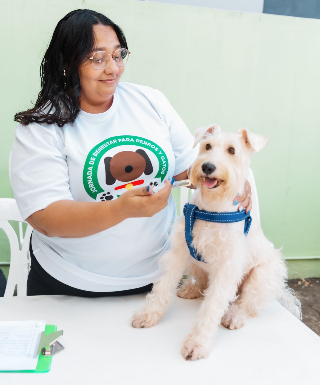Continúan jornadas masivas de atención para mascotas en el Distrito Nacional