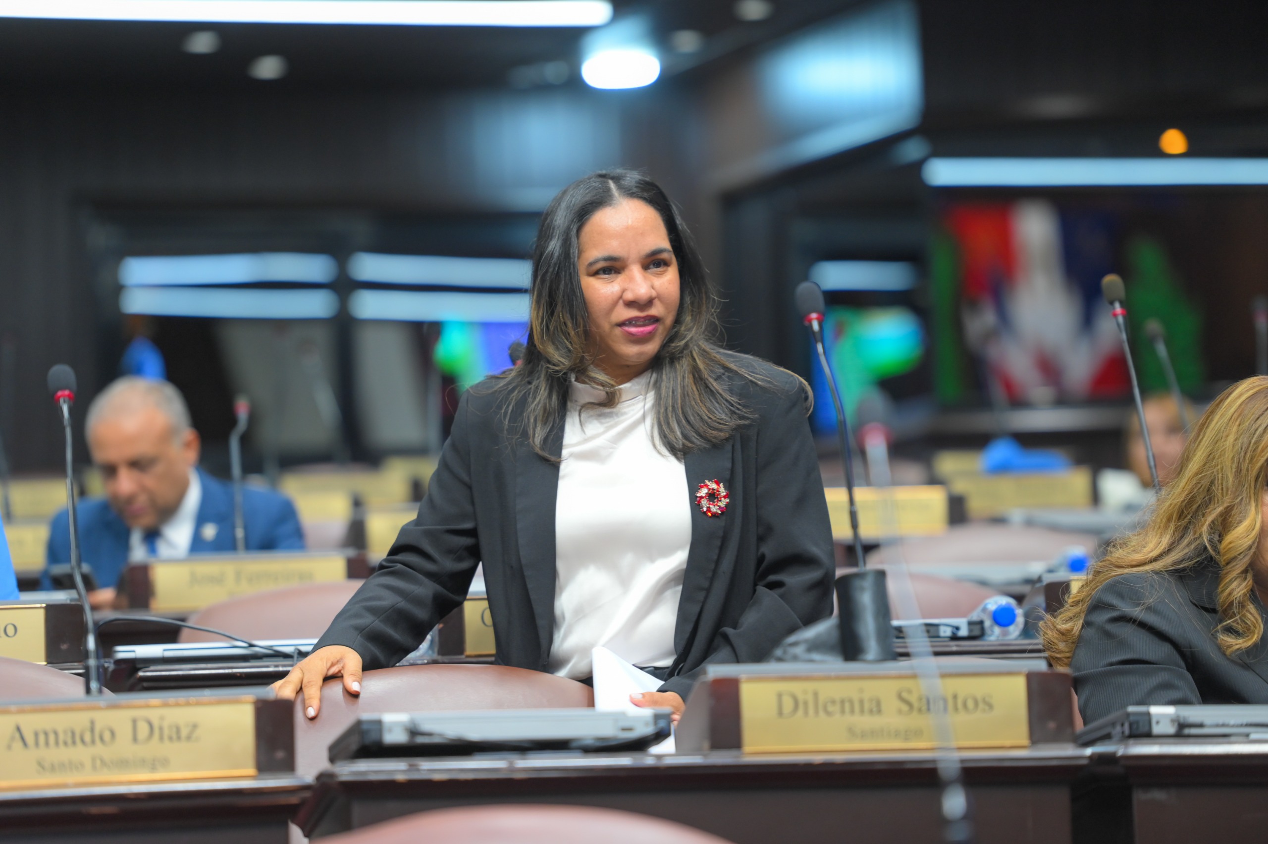 Diputada del PRM denuncia abusos policiales en Santiago y exige justicia por muerte de joven